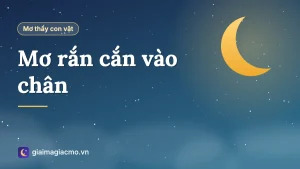 Minh hoạ giấc mơ rắn cắn vào chân