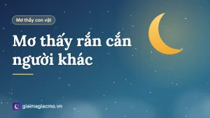 Minh hoạ giấc mơ thấy rắn cắn người thân