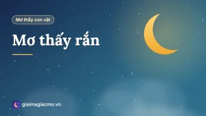 Minh hoạ giải mã giấc mơ thấy rắn với nhiều tình huống khác nhau