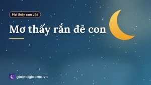 Mơ thấy rắn đẻ con