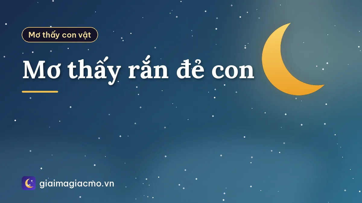 Mơ thấy rắn đẻ con
