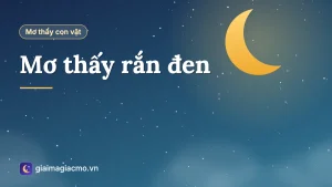 Minh hoạ giấc mơ thấy con rắn đen cuộn mình trong bóng tối