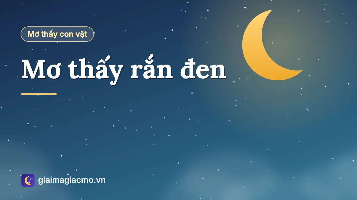 Minh hoạ giấc mơ thấy con rắn đen cuộn mình trong bóng tối