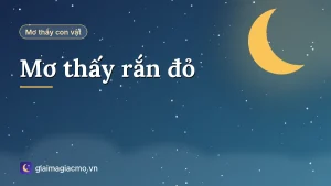 Minh hoạ giải mã giấc mơ thấy rắn đỏ