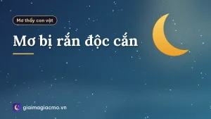 Mơ bị rắn độc cắn