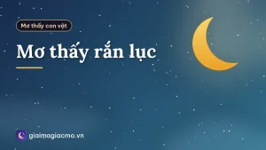 Mơ thấy rắn lục