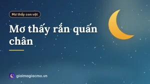 Mơ thấy rắn quấn chân