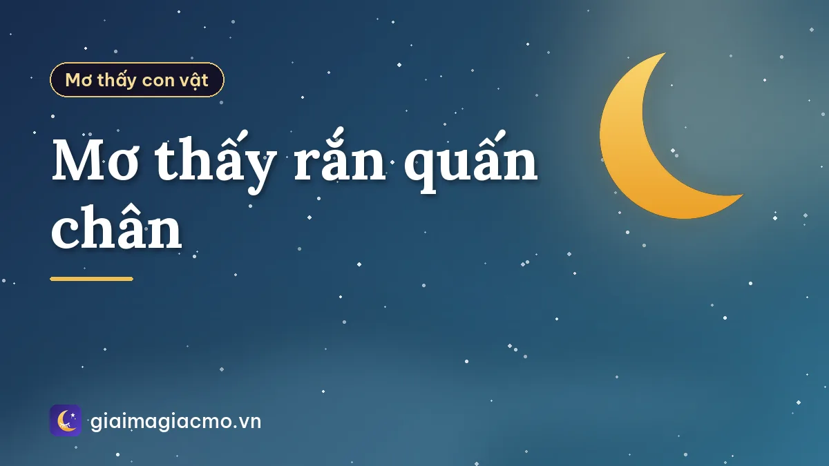 Mơ thấy rắn quấn chân