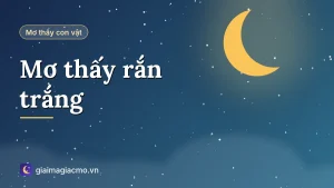 Minh hoạ giải mã giấc mơ thấy rắn trắng