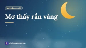 Minh hoạ giải mã giấc mơ thấy rắn vàng
