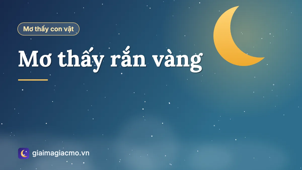 Minh hoạ giải mã giấc mơ thấy rắn vàng