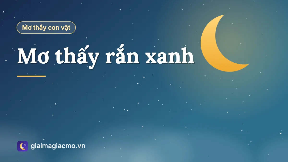 Minh hoạ giấc mơ thấy con rắn xanh trên cành cây