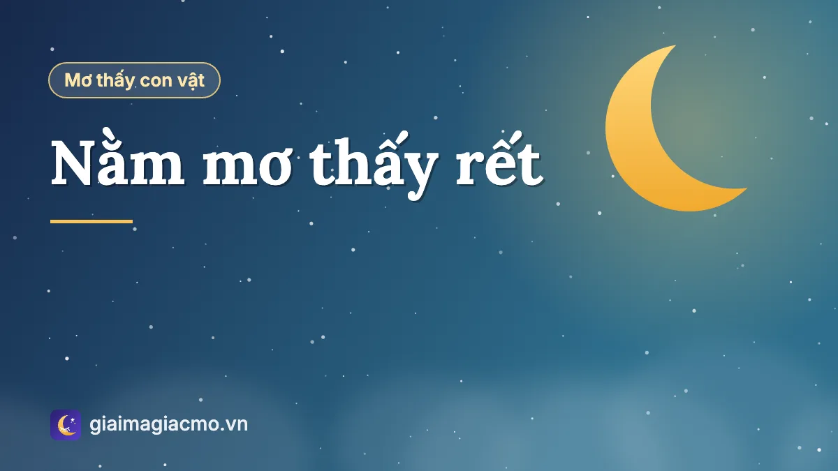 Minh hoạ giấc mơ thấy con rết bò trong nhà