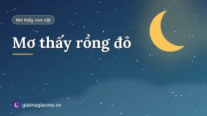 Minh hoạ giải mã giấc mơ thấy rồng đỏ bay trên trời