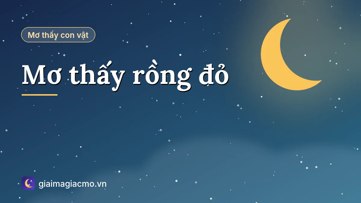 Minh hoạ giải mã giấc mơ thấy rồng đỏ bay trên trời