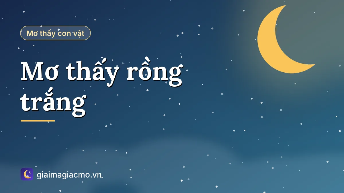 Minh hoạ giải mã giấc mơ thấy rồng trắng bay trên trời