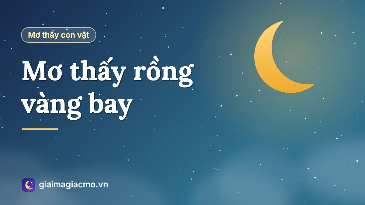 Minh hoạ giấc mơ thấy rồng vàng bay lượn trên bầu trời