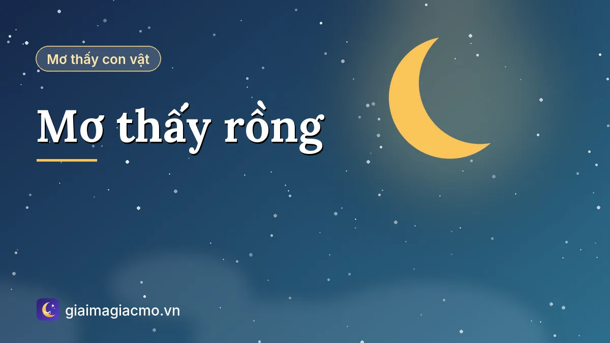 Minh hoạ giải mã giấc mơ thấy rồng bay trên mây theo quan niệm dân gian