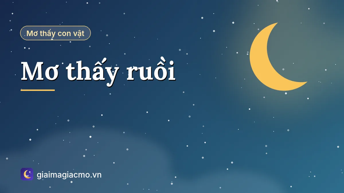 Minh hoạ giải mã giấc mơ thấy ruồi