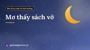 Mơ thấy sách vở