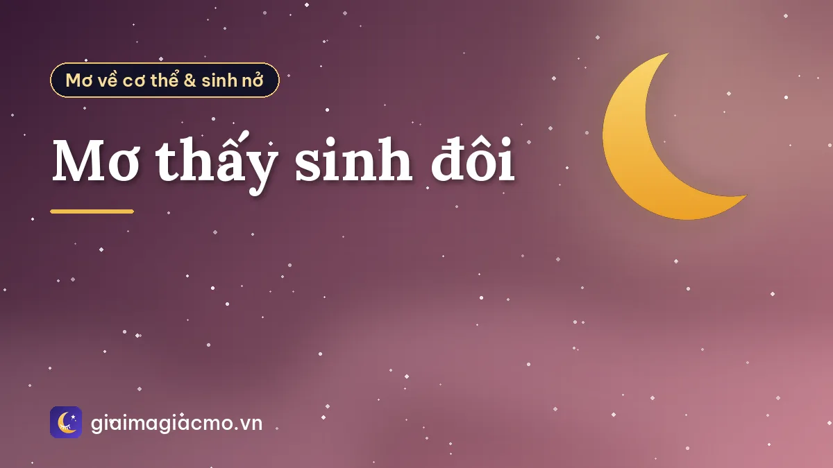 Mơ thấy sinh đôi