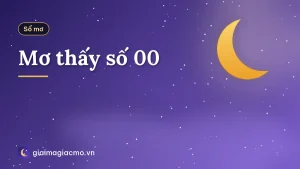 Mơ thấy số 00
