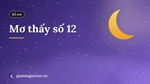 Mơ thấy số 12