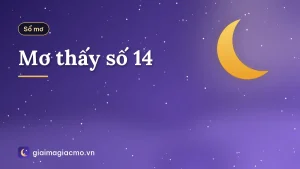 Mơ thấy số 14