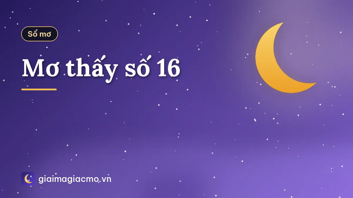 Mơ thấy số 16