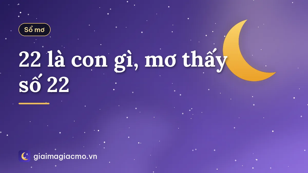 22 là con gì, mơ thấy số 22