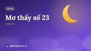 Minh hoạ con số 23 và hình ảnh con khỉ trong sổ mơ dân gian