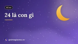 24 là con gì