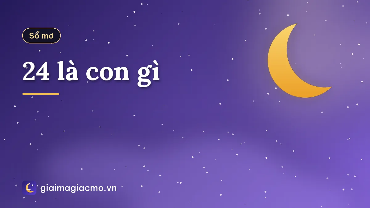 24 là con gì