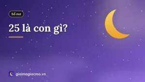 25 là con gì?
