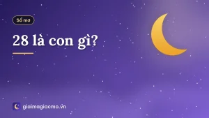 28 là con gì?