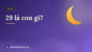 29 là con gì?