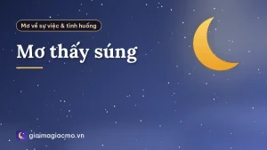 Mơ thấy súng