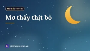 Mơ thấy thịt bò