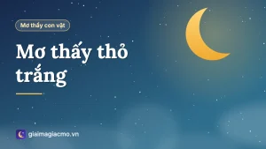 Minh hoạ con thỏ trắng ngồi trên bãi cỏ trong giấc mơ