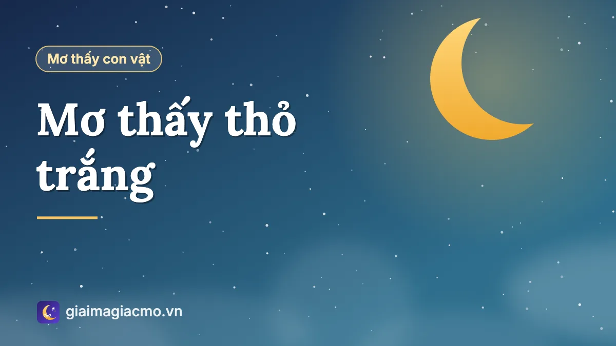 Minh hoạ con thỏ trắng ngồi trên bãi cỏ trong giấc mơ