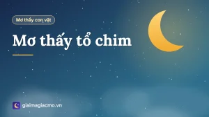 Minh hoạ giải mã giấc mơ thấy tổ chim có chim non trên cành cây