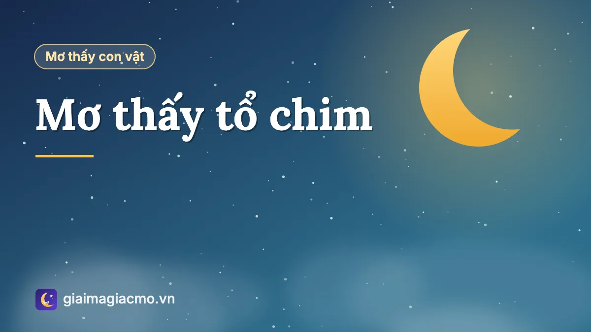 Minh hoạ giải mã giấc mơ thấy tổ chim có chim non trên cành cây
