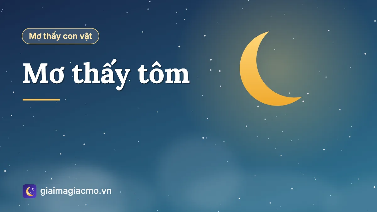 Minh hoạ giải mã giấc mơ thấy tôm