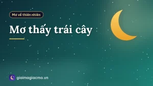 Mơ thấy trái cây