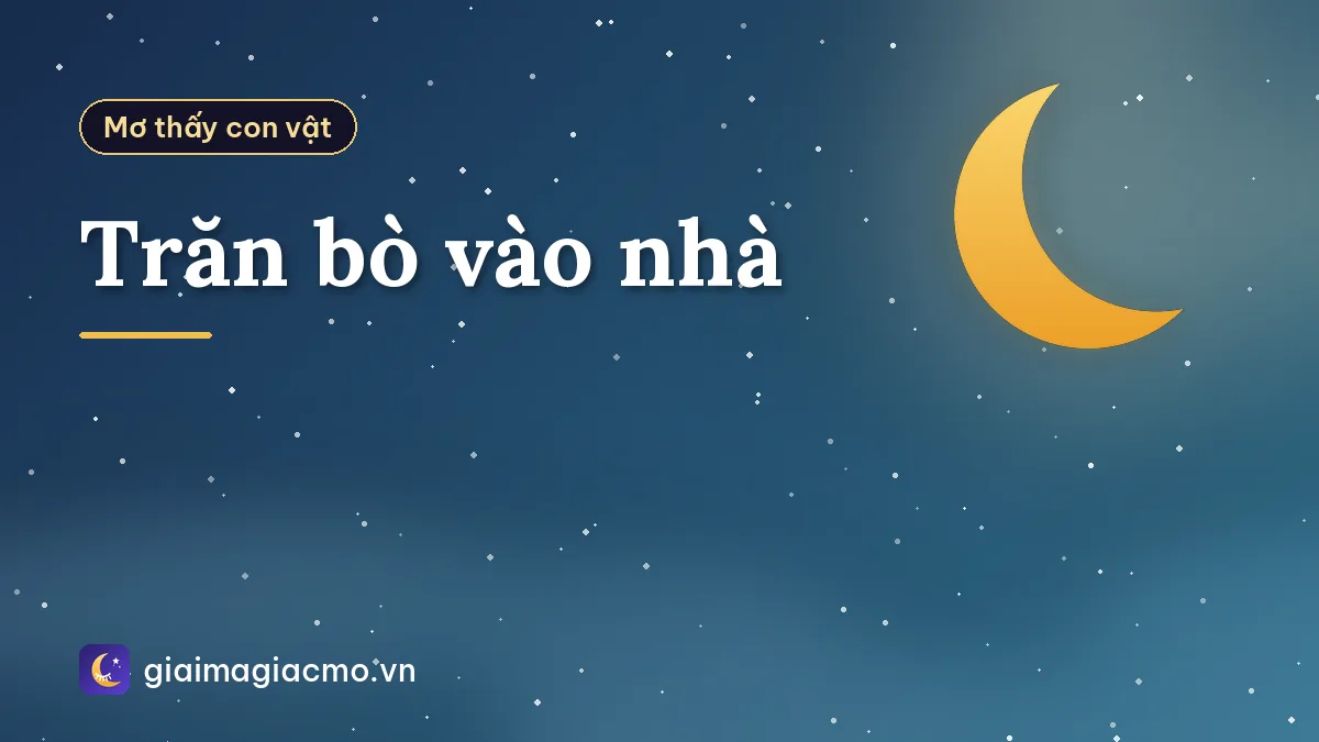 Trăn bò vào nhà