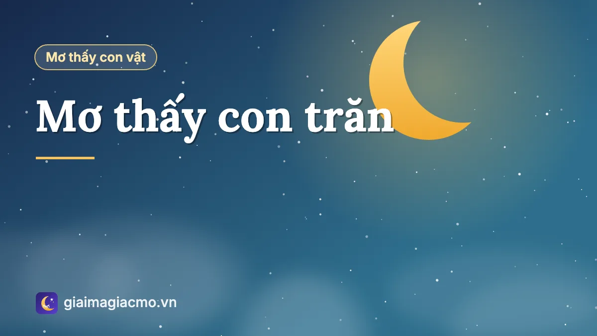 Minh hoạ giấc mơ thấy con trăn lớn cuộn tròn
