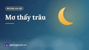 Minh hoạ giải mã giấc mơ thấy con trâu