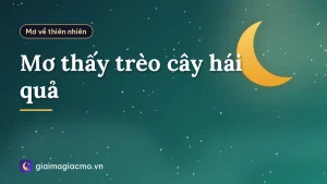 Mơ thấy trèo cây hái quả