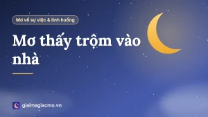 Minh hoạ giải mã giấc mơ thấy trộm vào nhà