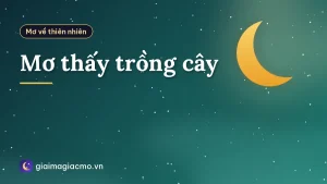 Mơ thấy trồng cây